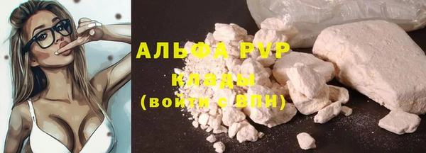 спиды Волоколамск