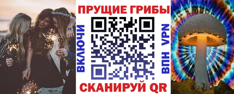 kraken tor мориарти Telegram Псилоцибиновые грибы MAGIC MUSHROOMS Назарово