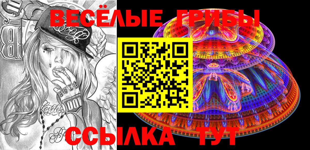 Псилоцибиновые грибы Cubensis Назарово